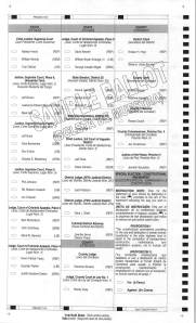 Precinct 4 Sample Ballot with Write-in Candidates_Page_2